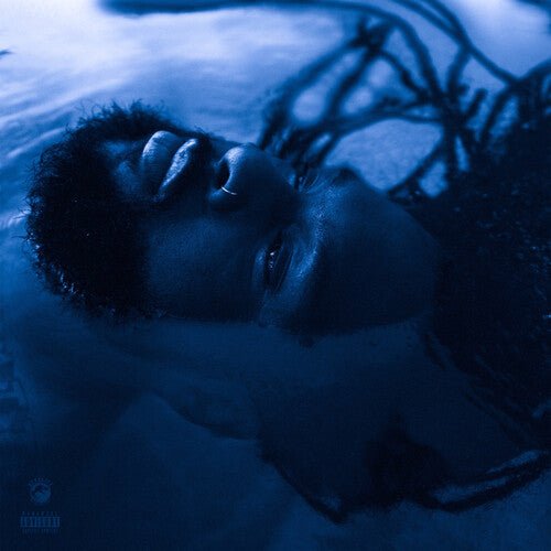 Rexx Life Raj - The Blue Hour  (New Vinyl LP)