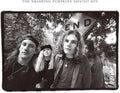 Smashing Pumpkins - Rotten Apples: Greatest Hits [2xLP]  (New Vinyl LP)