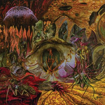 Spinebreaker - Cavern Of Inoculated Cognition [Colored Vinyl]  (New Vinyl LP)