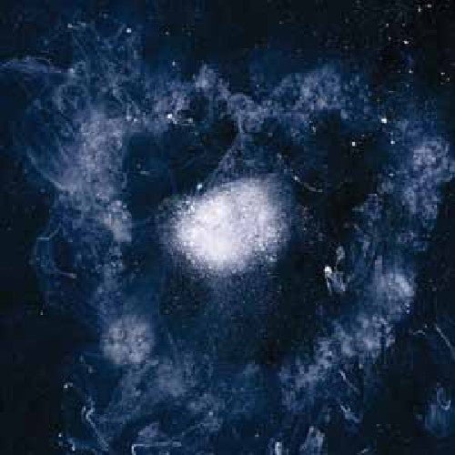 Swans - My Father Will Guide Me Up a Rope to the Sky  (New Vinyl LP)