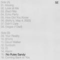 Sylvan Esso - No Rules Sandy [Tiger's Eye Vinyl]  (New Vinyl LP)