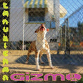 Tanukichan - Gizmo  (New Vinyl LP)