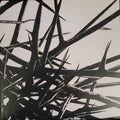 Teeth - A Biblical Worship of Violence [Red & Black Splatter]  (New Vinyl LP)