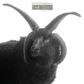 The Cult - The Cult [2x White Vinyl]  (New Vinyl LP)