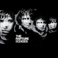 The Rapture - Echoes  (New Vinyl LP)