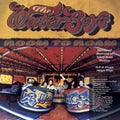 The Waterboys ‎– Room To Roam [Half Speed Master]  (New Vinyl LP)