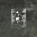 The World Is a Beautiful Place & I Am No Longer Afraid to Die - Whenever, If Ever [Clear/Evergreen Marble Vinyl]   (New Vinyl LP)