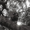 Ty Segall - Hello Hi  (New Vinyl LP)