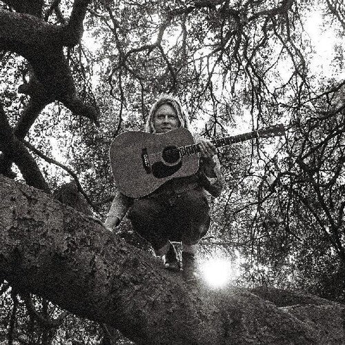 Ty Segall - Hello Hi  (New Vinyl LP)