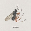 Vundabar - Good Old [Colored Vinyl]  (New Vinyl LP)