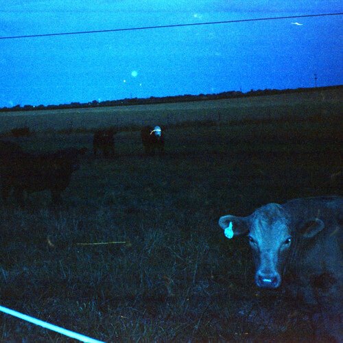 Waveform* - Antarctica [Dark Blue Vinyl]  (New Vinyl LP)