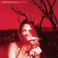 Widespread Panic - Everyday [Red & Grey Vinyl]  (New Vinyl LP)