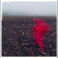 Will Varley - The Hole Around My Head  (New Vinyl LP)