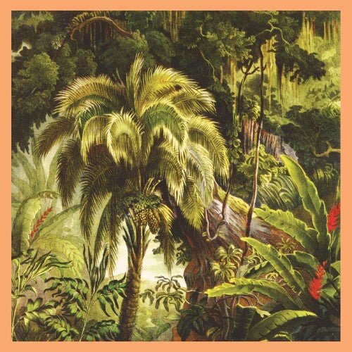 Xiu Xiu - La Foret (Sunset Swirl Vinyl]  (New Vinyl LP)